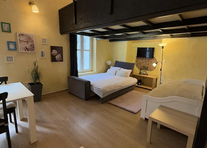 Oasis-with Parking Lublaň